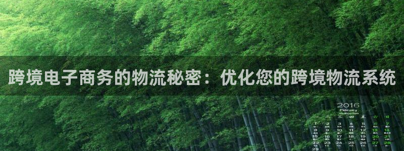 自行车28圈是什么意思：跨境电子商务