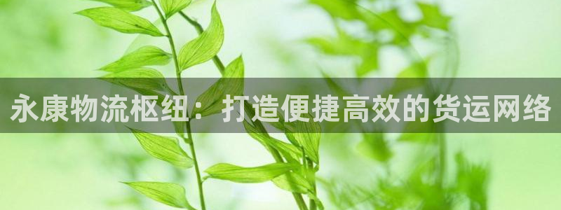 28圈充值为什么充不了：永康物流枢纽